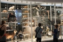 National Museum of Nature and Science