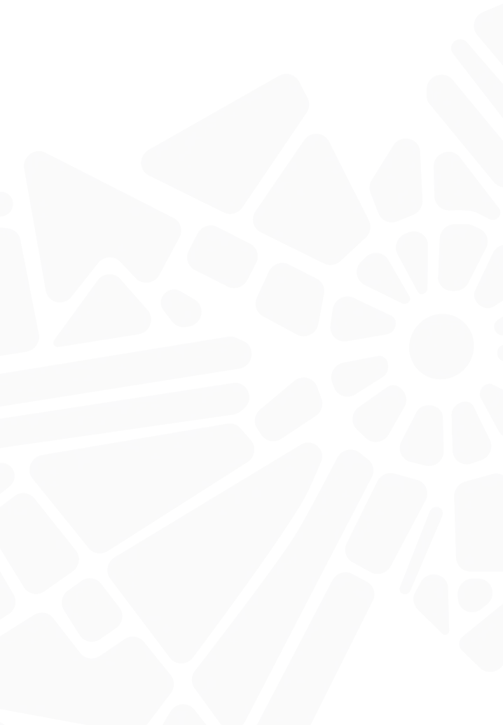 Bg Web
