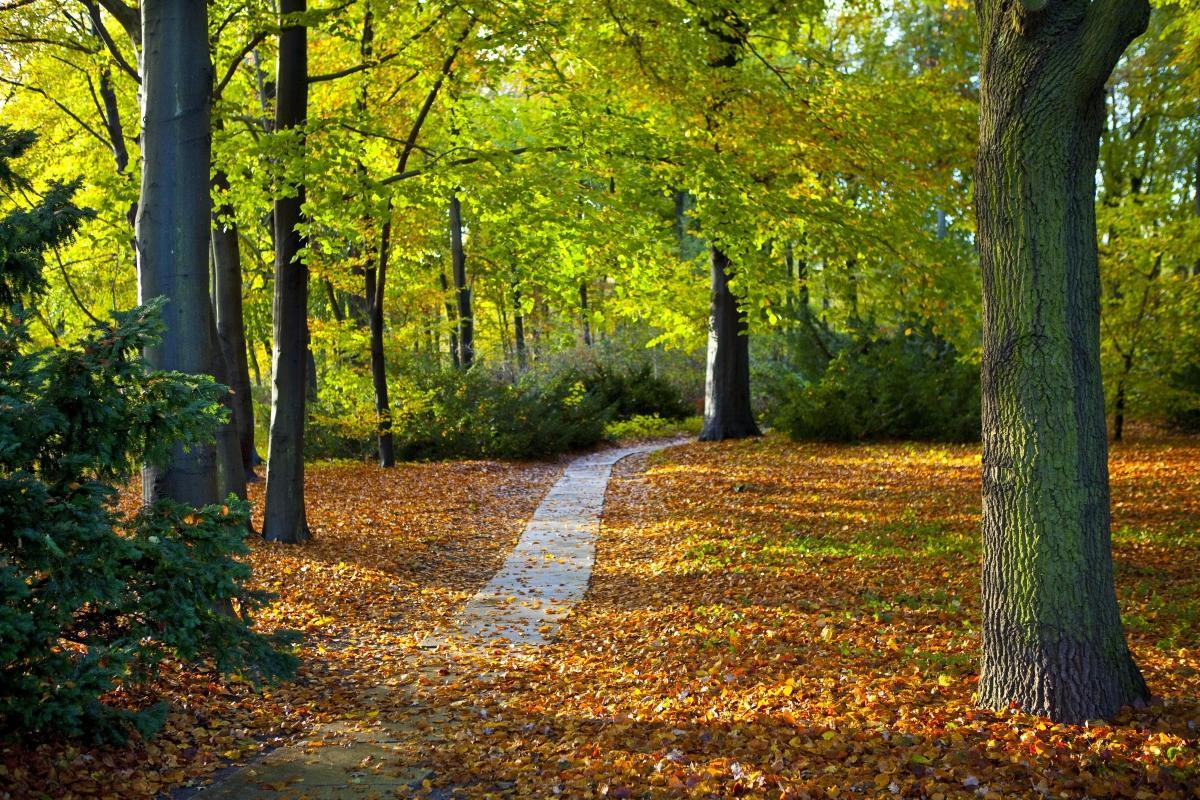 https://media-cdn.tripadvisor.com/media/attractions-content--1x-1/0b/27/5a/d4.jpg