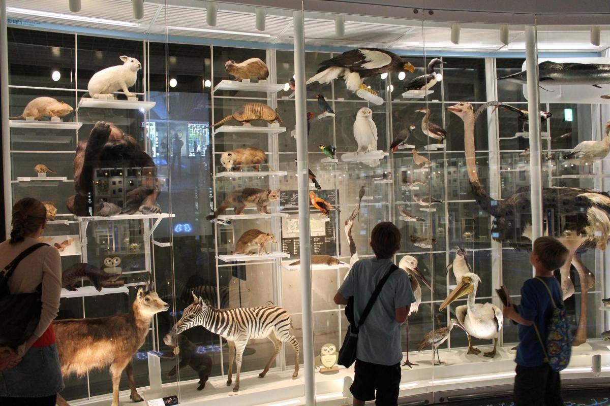 https://media-cdn.tripadvisor.com/media/attractions-content--1x-1/0b/27/84/f2.jpg