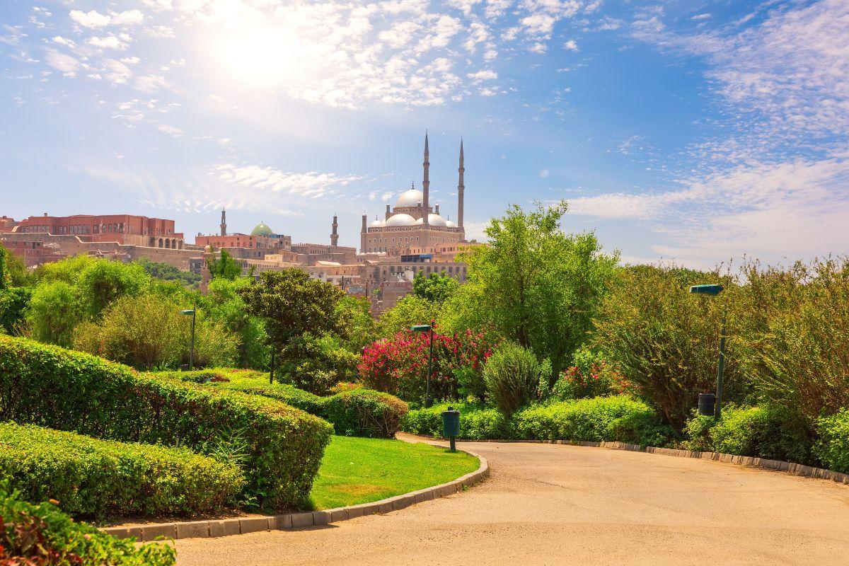 https://media-cdn.tripadvisor.com/media/attractions-content--1x-1/13/c9/44/db.jpg