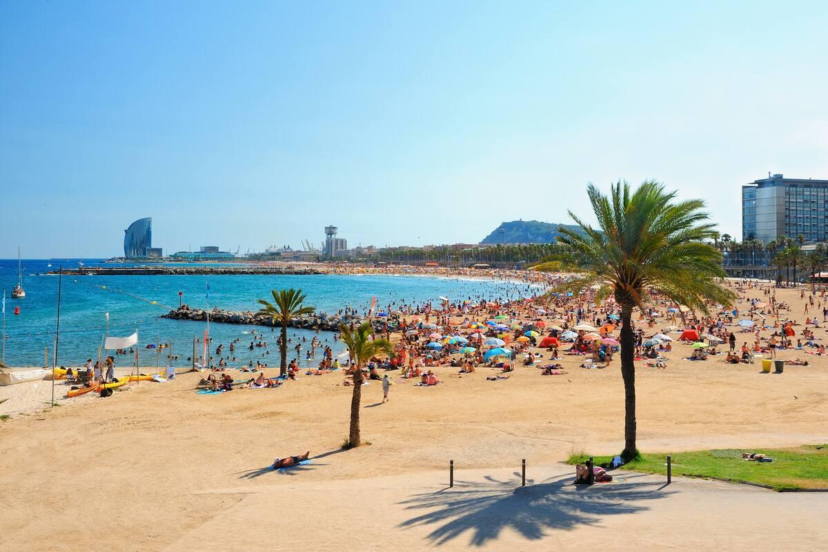 https://media-cdn.tripadvisor.com/media/attractions-content--1x-1/14/f3/c9/88.jpg